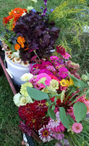 Winston Salem Farmer's Market Flowers