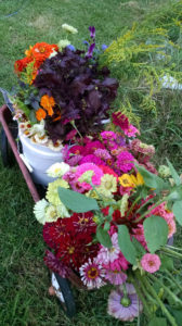 Farmer's Market Flowers