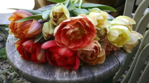 Farmer's Market Flowers