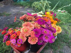 Farmer's Market Flowers example